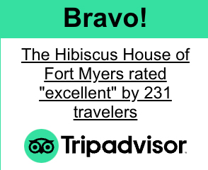 Bravo! Tripadvisor