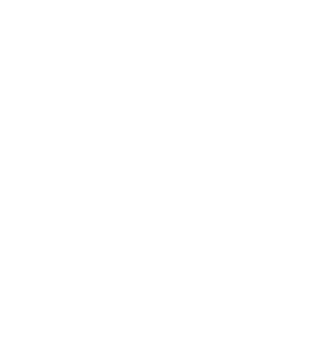 Travelers' Choice Award